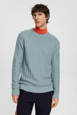 Vyriškas megztinis (ESPRIT Collection) 